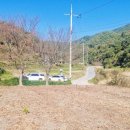 벽오동공인중개사사무소 이미지