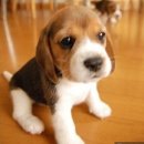 가남경로당 이미지