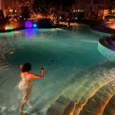 롯데호텔 실내수영장 | 부산 롯데호텔 수영장(실내 야외수영장), 사우나 겨울 이용 후기