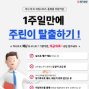링크에셋 | 레드에셋 주식 컨설팅 구조를 다르게 풀어본 사용 후기