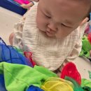 차문화센터2 | 6개월 아기 롯데문화센터 오터치 오감발달 2회차 후기 (카멜레온 편)