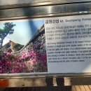 남문길 이미지
