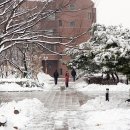 가톨릭대학교 성심교정 이미지