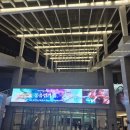 2024 여수에코국제음악제 | 여수 실내악 페스티벌 : 동유럽의 춤