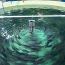 관리낚시터 이미지