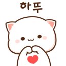 보물섬어린이집 이미지