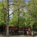 정원맛집 이미지