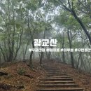 광교산로 | 비 오는 날 광교산 우중산행 후기