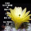 현대직업소개소 네이버블로그