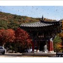 예산-07 이미지