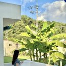 둔덕다락 이미지