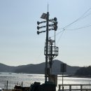 3264 | 영종도 “데일리셀럽” 카페 후기 ㅣ 영종도 카페 추천 • 애견동반카페 • 영종도 대형카페