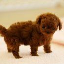 방과후스쿨학원