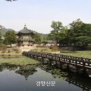 향원정 - 마포구 양화로7길 28 | 향원정