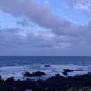 태균목장 이미지