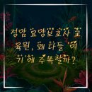 정암 요양보호사교육원 이미지