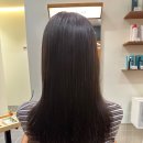 84 | 봉선동 미용실 살롱드84 클리닉 후기 (손상모 복구 / 밸런스 클리닉)