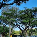 네이처한길 이미지