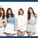 시크릿클럽
