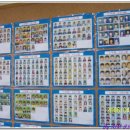 일본인학교 이미지