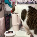 에르메스 PC방 | 여러분 저는 아직 2025년에 살고잇어요