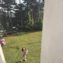 힐마레 | 안면도 힐마레펜션 후기