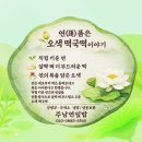 오색투어㈜ | 창원 주남연잎밥 오색떡국떡 출시｜설 명절 선물 추천·연근닮은 떡국떡