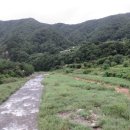 잣나무집정원 이미지