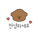 리나베이프 이미지