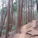 엄광산 나들숲길 이미지