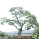 보화1로1 이미지