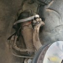 마이네키일산덕이점 이미지