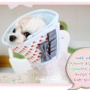 디얼퍼피