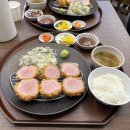 도계도서관 | 벼랑 끝의 뇨끼