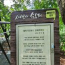 가로개천 무명2교 | 명품 강남 둘레길 [양재천 풍경(여름)]후기(2025. 08. 15.)