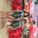 늑대랑여우랑 이미지