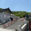 한국애견랜드테마파크