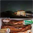 신신낚시신항만점