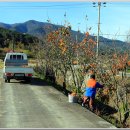 어단2리 이미지