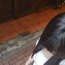 교동미용실 이미지