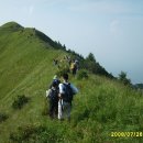 야생화 천국 북경 소오대산+용경협+만리장성 트레킹(7/01,7/5,8/13 이미지