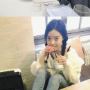 바니 이미지