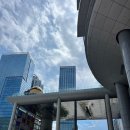 로카우스EFL 이미지