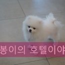 더조은동물의료센터 이미지