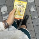 잔잔한 파도같던 8-9월 헤엄치기🧿🪼🪙🛼🥥