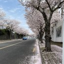 예래동사무소 이미지