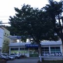 돈대박식육점