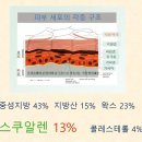 세모스쿠알렌 이미지