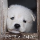 따뜻한말한마디