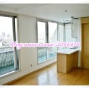 플러스텔Ⅱ 이미지